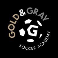 1-2-1 Sessions // Group play // Club sessions // Elite development sessions // Holiday camps contact goldandgraysocceracademy@outlook.com for more info