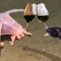 pass the yaoi!!! fridays 🥂 (@passtheyaol) 's Twitter Profile Photo