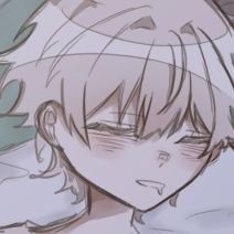 めいぷるねこさんのプロフィール画像