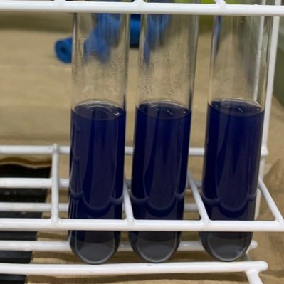 IoCngswsYYzIxwH's profile picture. けむ&ゲーム Chem&Game 触媒系が好み