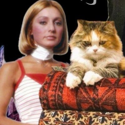 iwd__asap's profile picture. انسان جالبی نیستم متاسفانه/ زن‌زندگی‌آزادی
