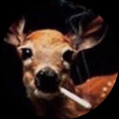 localstargirI's profile picture. spanish latte sub oat milk