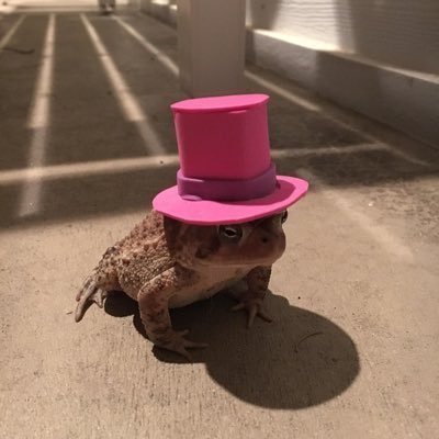 7MD1985's profile picture. استغفرالله العظيم وأتوب إليه ( حساب احتياطي )