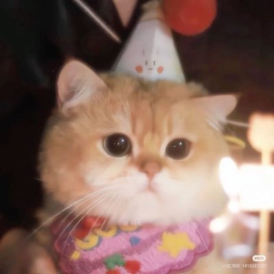 ggummy_y's profile picture. 