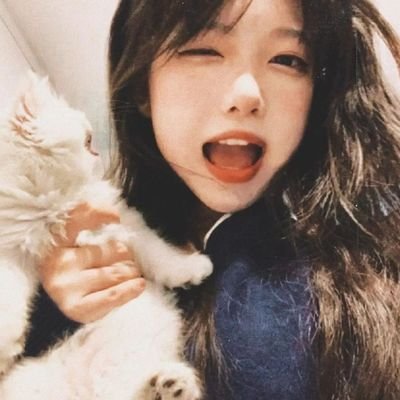 xing_qian53977's profile picture. 