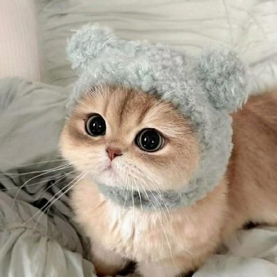 youtab1788817's profile picture. 