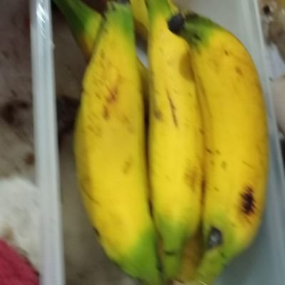 wa : 0852-5164-9230 | wiraswasta | Amuntai - Banjarbaru