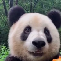 life irie (@0911_high) 's Twitter Profile
