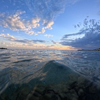 SwimmerCoco's profile picture.