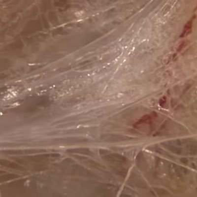 magu_essence's profile picture. 