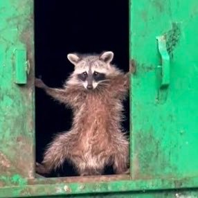 CG23Photos's profile picture. love everything trashy