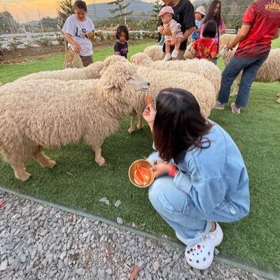 ssai_matsana's profile picture. ความรู้สึกของวันนี้