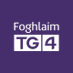 Foghlaim TG4 (@foghlaimtg4) Twitter profile photo Foghlaim TG4 (@foghlaimtg4) Twitter profile photo