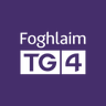 FoghlaimTG4's profile picture. Acmhainní Oideachais  | Gaeloideachas  | Gaeilge | Ceachtanna | Físeáin | Gearrscannáin |  Filíocht | Saor in aisce