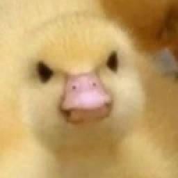 _dxlqn's profile picture. 19 🇫🇷 | #StayManiapositive