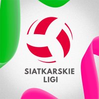 Siatkarskie Ligi (@siatkarskieligi) 's Twitter Profile