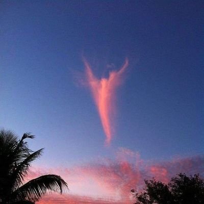 𝕄𝕚𝕝𝕚𝕥𝕒𝕣𝕪 𝔾𝕖𝕖𝕜, #avGeek, #gunThusiast...
R̶e̶t̶w̶e̶e̶t̶s̶ a̶r̶e̶ n̶o̶t̶ e̶n̶d̶o̶r̶s̶e̶m̶e̶n̶t̶s̶ Ⓕⓞⓛⓛⓞⓦ Ⓑⓐⓒⓚ