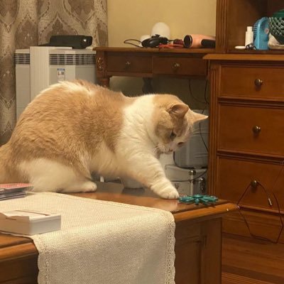 GonnerAzArby519's profile picture. Amateur player📸