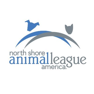 @AnimalLeague