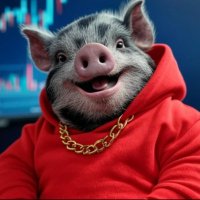 Gizmo the Hodler (@gizmothehodler) 's Twitter Profile