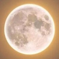 Amanita (@sine_sole_sineo) 's Twitter Profile