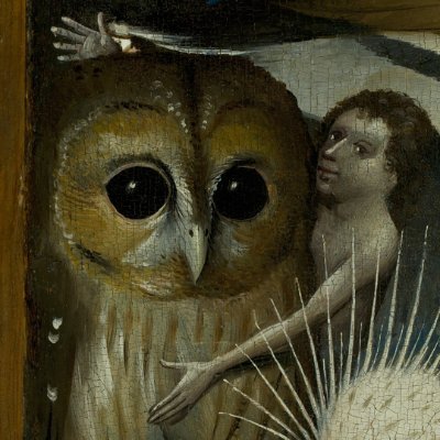 MonizAbel's profile picture. 