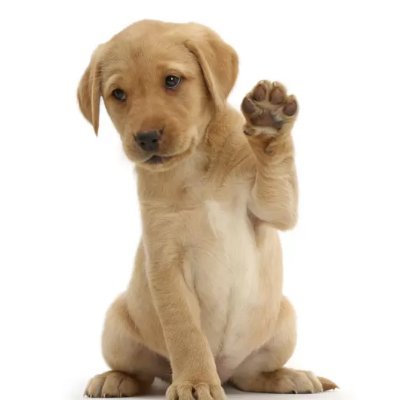 Pradheep_1212's profile picture. He/him... Live and let live