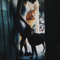 vagueguie (@vtf21) 's Twitter Profile