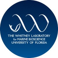 Whitney Laboratory (@whitney_lab) 's Twitter Profile