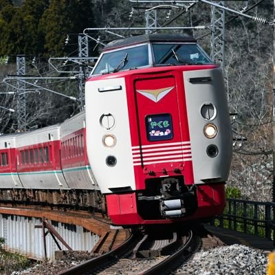 Chan_Shue_Chun_'s profile picture. 