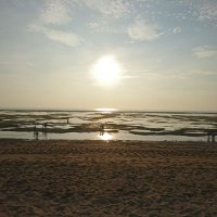 YAMADA Yoma (@mikunonegi_2) 's Twitter Profile