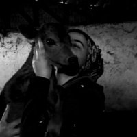 ⭐gûle (@gulamn15) 's Twitter Profile