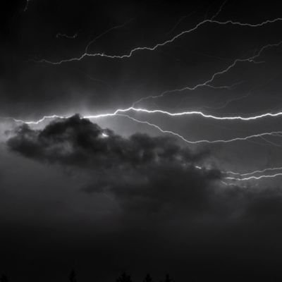 66_shajan's profile picture. . . . . . . . . ( )