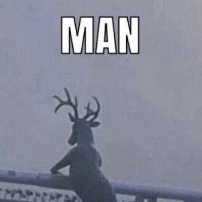 mmxmtuccari's profile picture. selam ticaretiniz nasıl gidiyor????