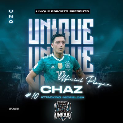 CAM II VFL (INT) - Ireland☘️ II Unique Esports Owner