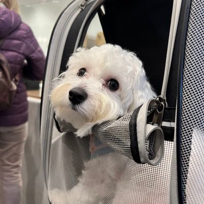 annchen106's profile picture. 