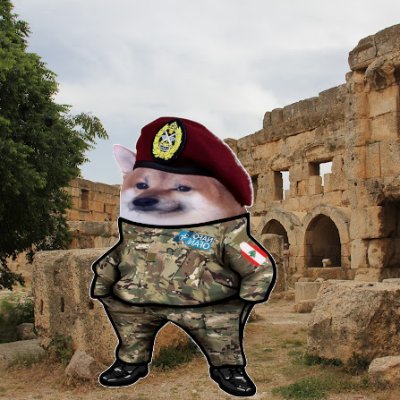Lebanese Fella ๐ฑ๐ง๐บ๐ฆ๐ซ๐ท Profile