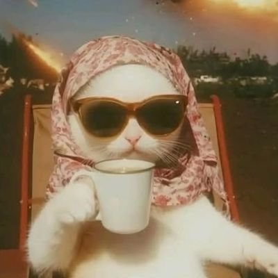 nisakeskk's profile picture. Hürriyet olmayan bir memlekette ölüm ve çöküş vardır.Her kurtuluşun anası hürriyettir.🇹🇷