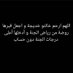 Alameen Gailani (@gailanialameen) Twitter profile photo Alameen Gailani (@gailanialameen) Twitter profile photo