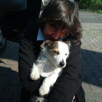 Alicia Cookson (@aliciacookson) 's Twitter Profile Photo