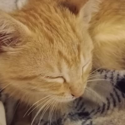 Ghoapcoddy's profile picture. Gonna start uploading soon enough!