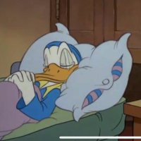 🇵🇸 (@_willofire) 's Twitter Profile