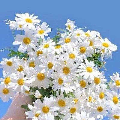 ghdahs1's profile picture. "إن الله حين يتولاك ، ولايته تهُد الجبال ، تلين الحديد تسوق إلى قدميكَ ما كان مُستحيلًا" -اللهمَّ تولني فيمن توليت..