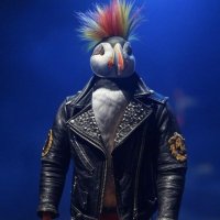 Il puffino punk 🇮🇹 (@punkpuffin) Twitter profile photo