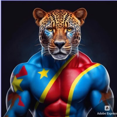 chriskit774's profile picture. Activist, web developper, manager communication, Diaspora Congolaise.