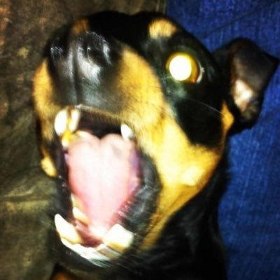 Hansonbrew's profile picture. Handcrafting Ales and Investing in Crypto.