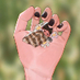 Itty bitty (@hollmichae22368) Twitter profile photo Itty bitty (@hollmichae22368) Twitter profile photo