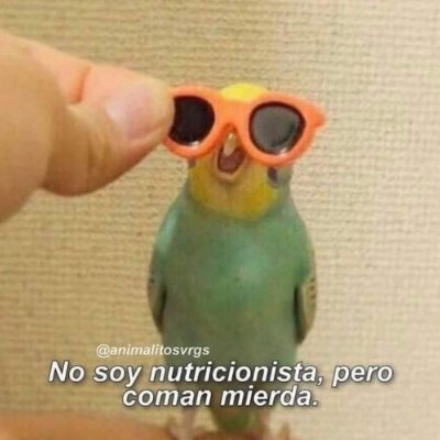 Irreverente.
Sin justicia social la paz es una farsa.