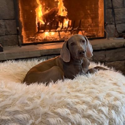 sydneyt82251967's profile picture. 