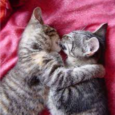 TabithaRol23603's profile picture. 